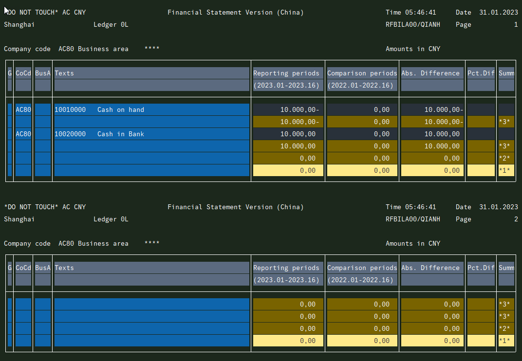 SAPGUI 'Financial Statement'